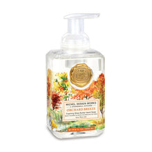 Michel Design Works Foaming Soap - It's Christmastime