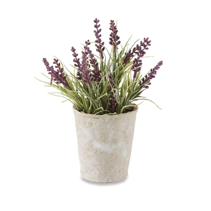 potted lavender plant gift Mud Pie Lavender Pot